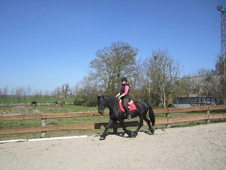 Ariel - Freiser billede 35