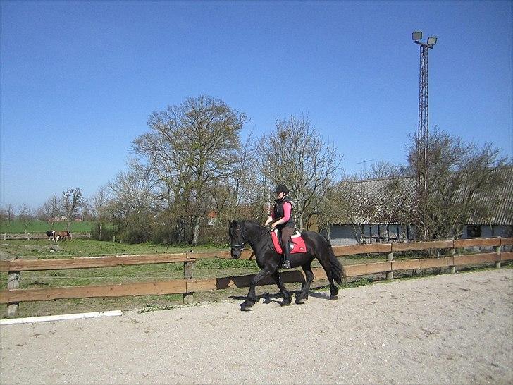 Ariel - Freiser billede 36