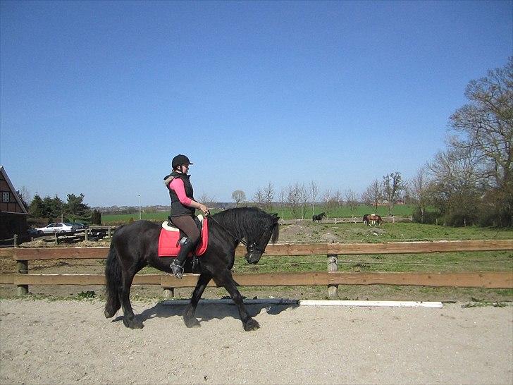 Ariel - Freiser billede 37