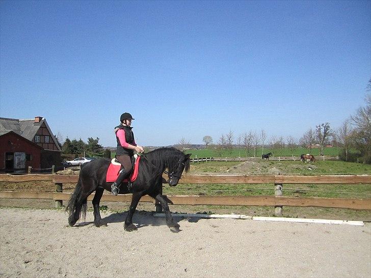 Ariel - Freiser billede 38