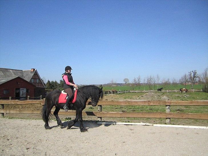 Ariel - Freiser billede 39