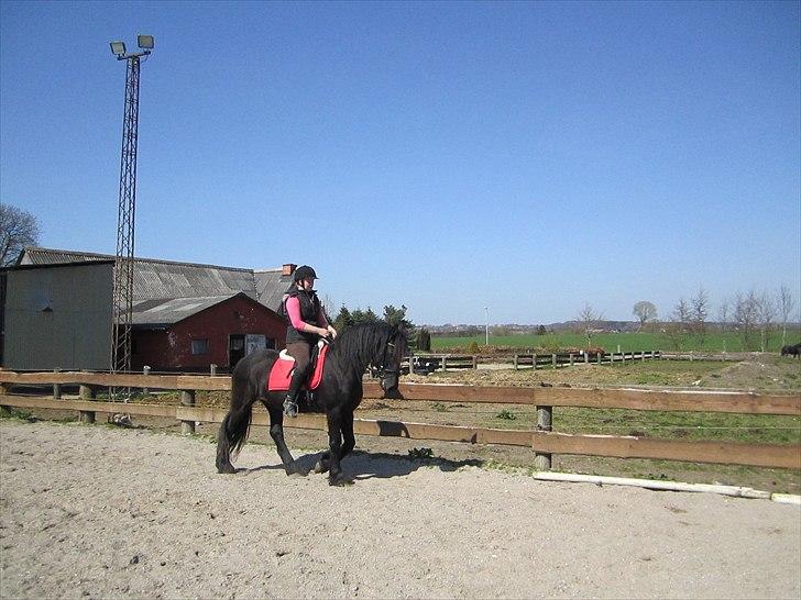 Ariel - Freiser billede 40