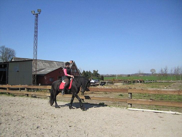 Ariel - Freiser billede 41