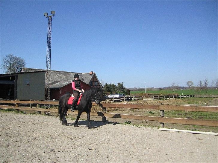 Ariel - Freiser billede 42