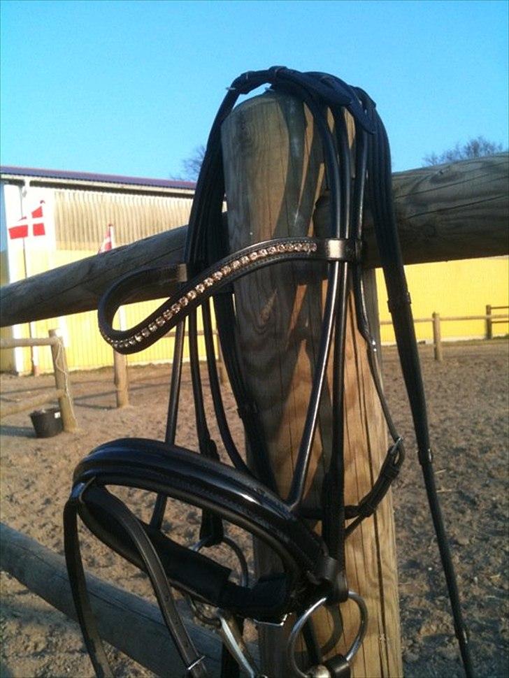 Den nye OS münchen trense... billede 5