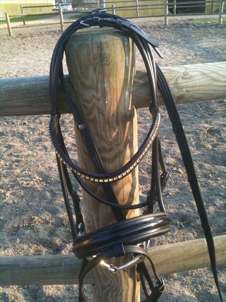 Den nye OS münchen trense... billede 6