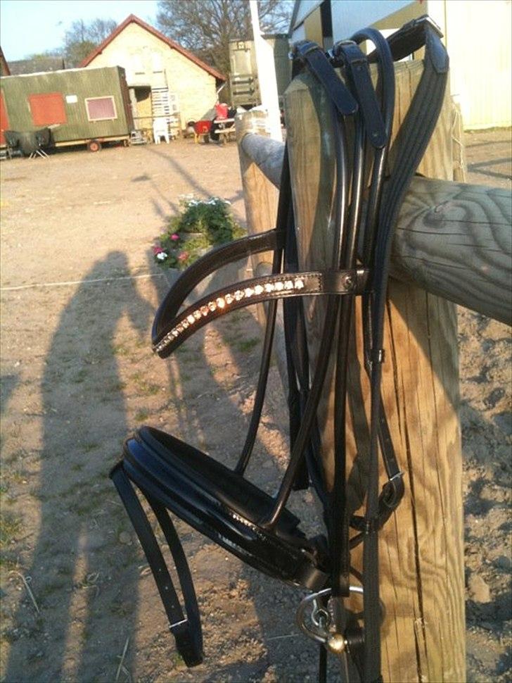 Den nye OS münchen trense... billede 7