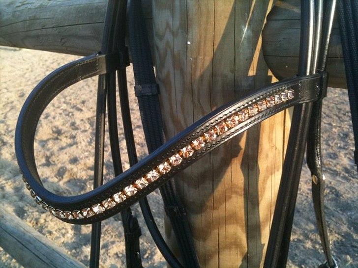 Den nye OS münchen trense... billede 8