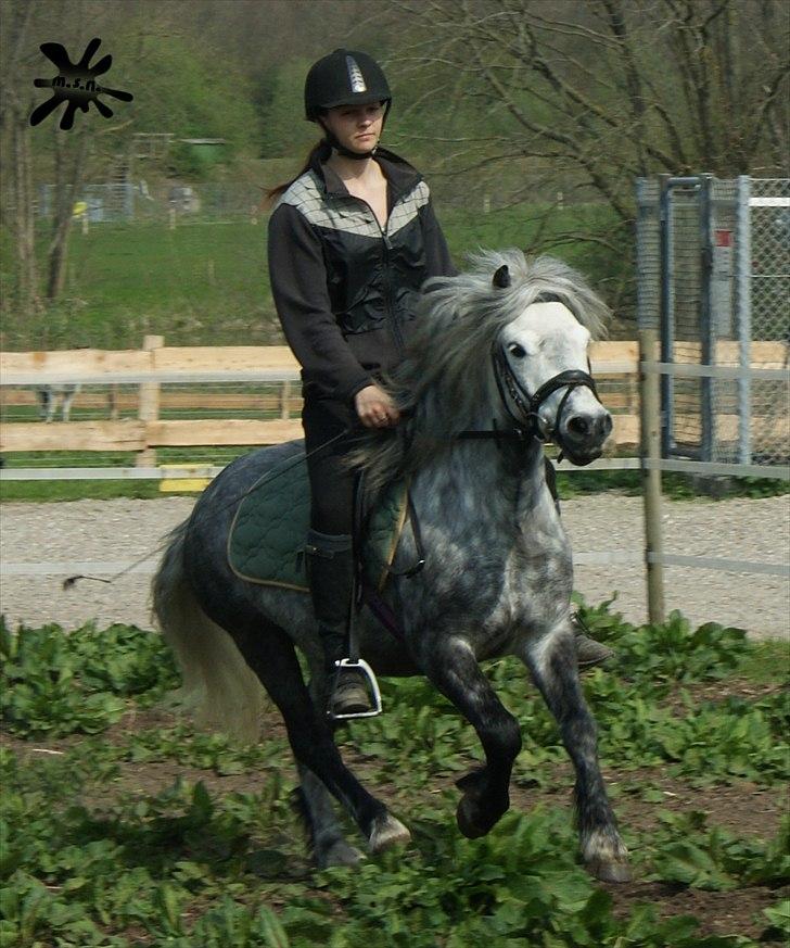 På besøg ved Porsche :`) <3 billede 1