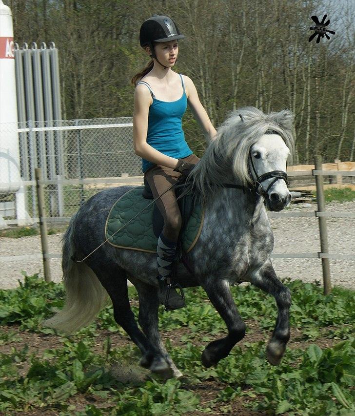 På besøg ved Porsche :`) <3 billede 3