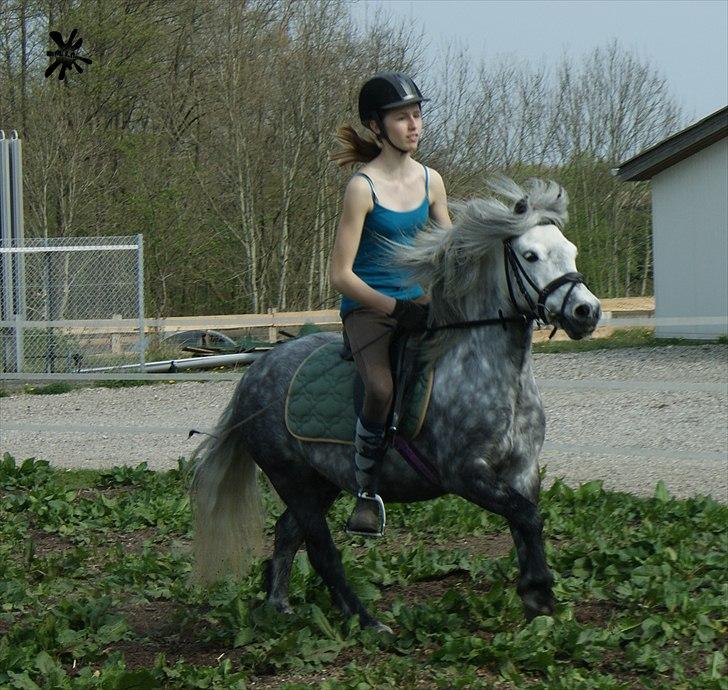 På besøg ved Porsche :`) <3 billede 4