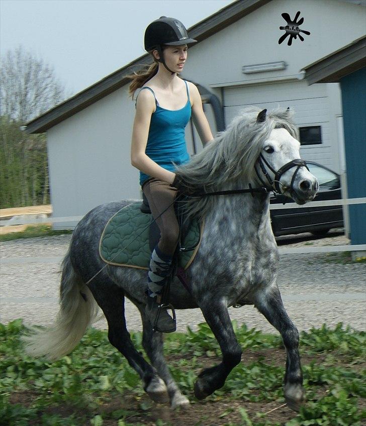 På besøg ved Porsche :`) <3 billede 5