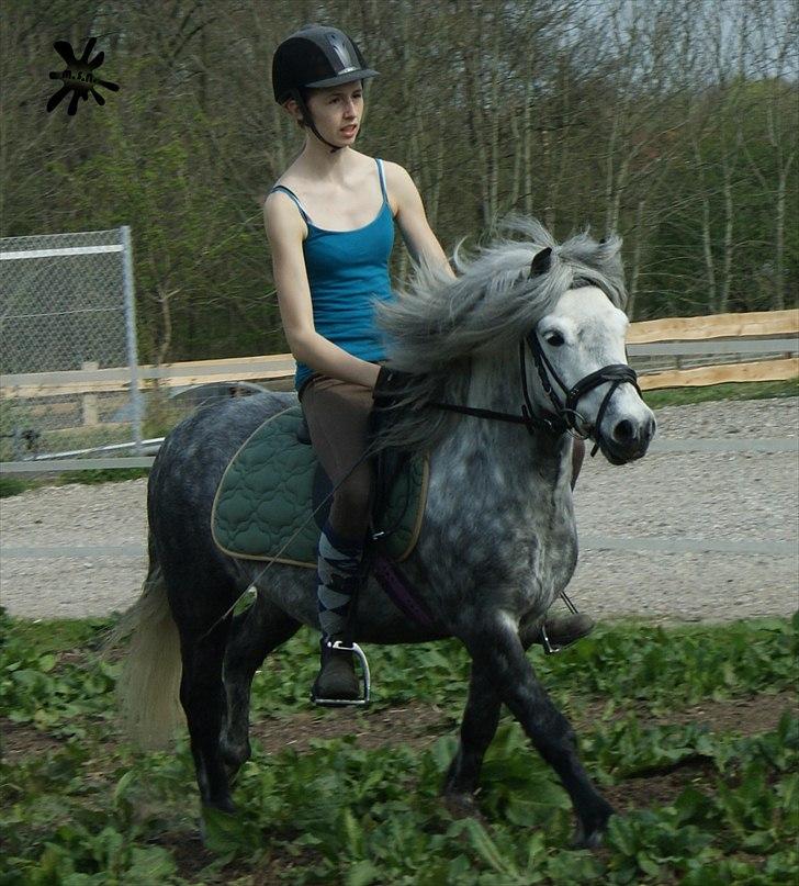 På besøg ved Porsche :`) <3 billede 6