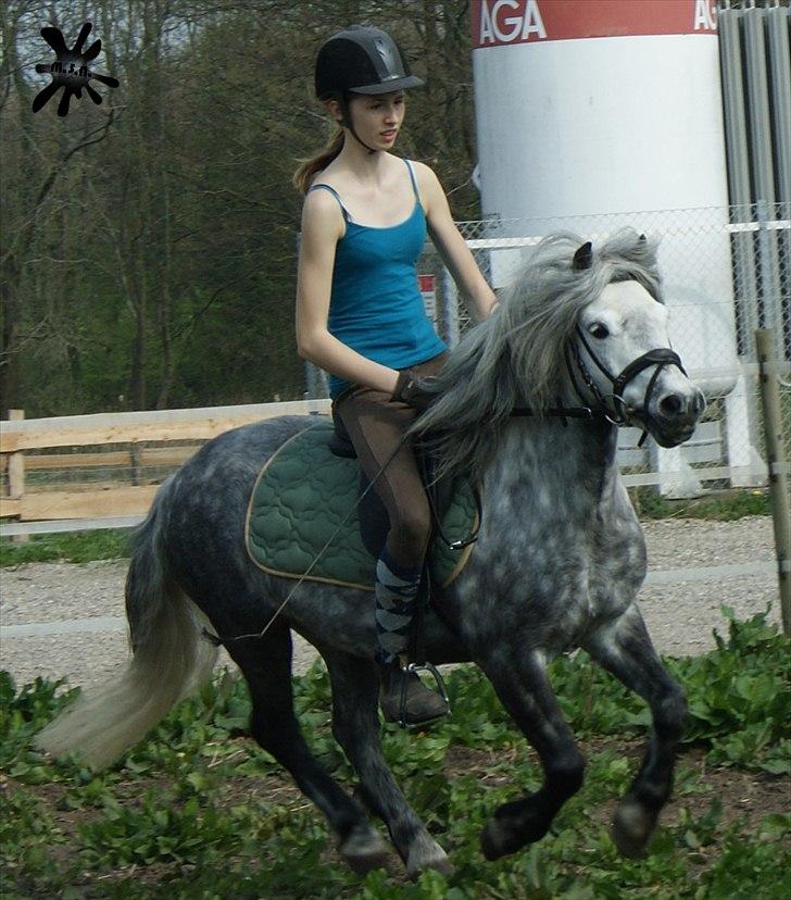 På besøg ved Porsche :`) <3 billede 7