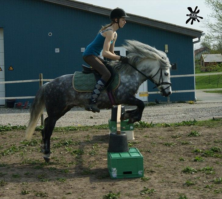 På besøg ved Porsche :`) <3 billede 8