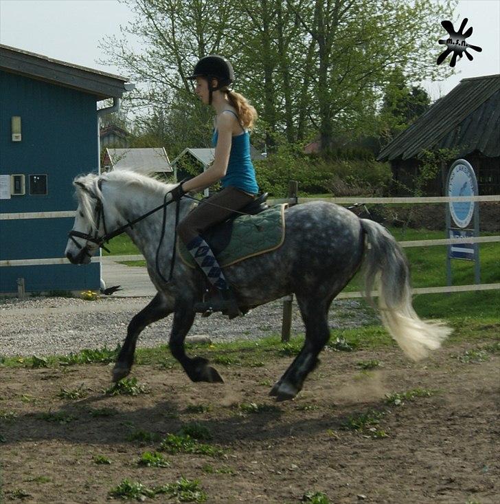 På besøg ved Porsche :`) <3 billede 9