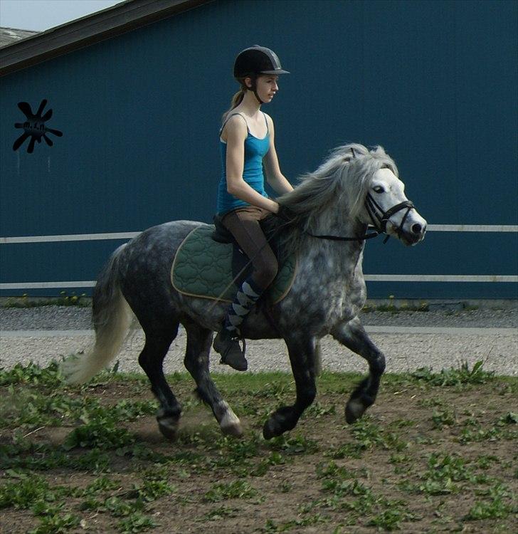 På besøg ved Porsche :`) <3 billede 10