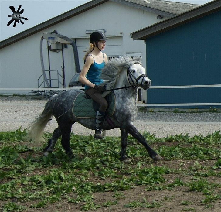 På besøg ved Porsche :`) <3 billede 11