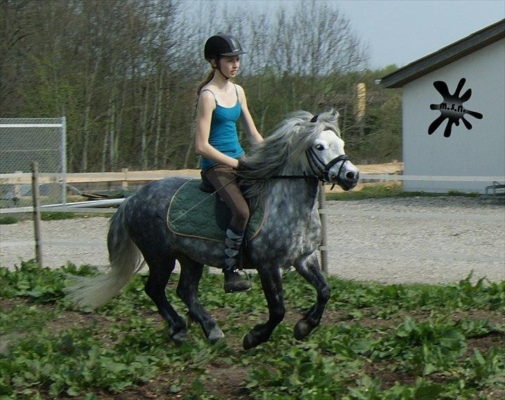 På besøg ved Porsche :`) <3 billede 12