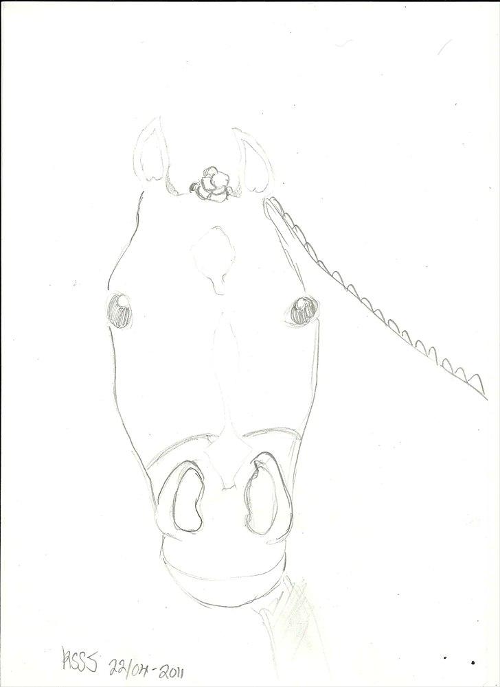 Cartoons og tegninger til andre - Chocoh billede 23