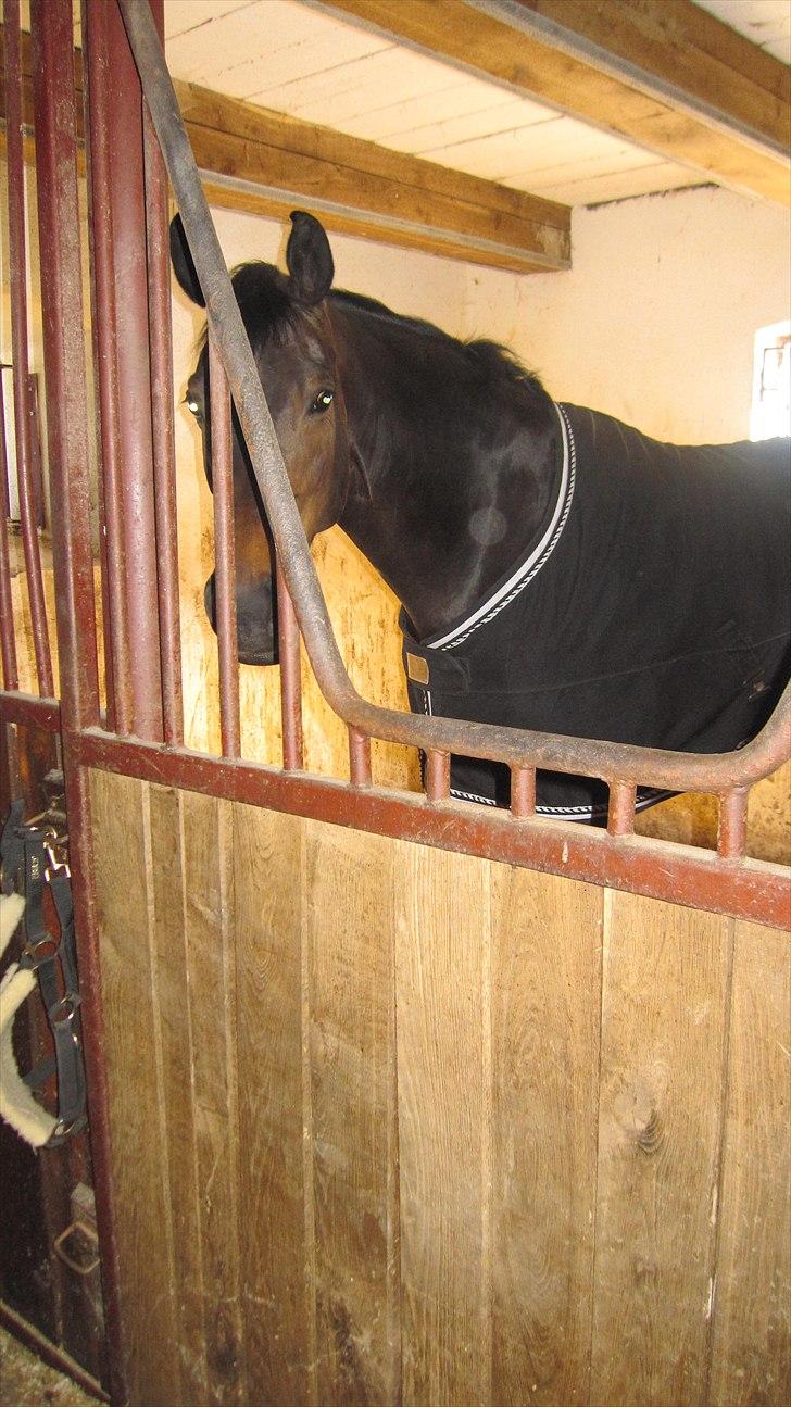 Gunnarlunda  billede 3