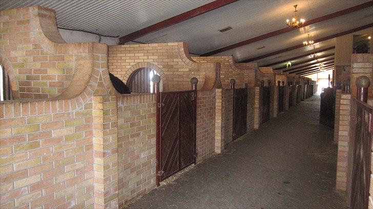 Gunnarlunda  billede 9