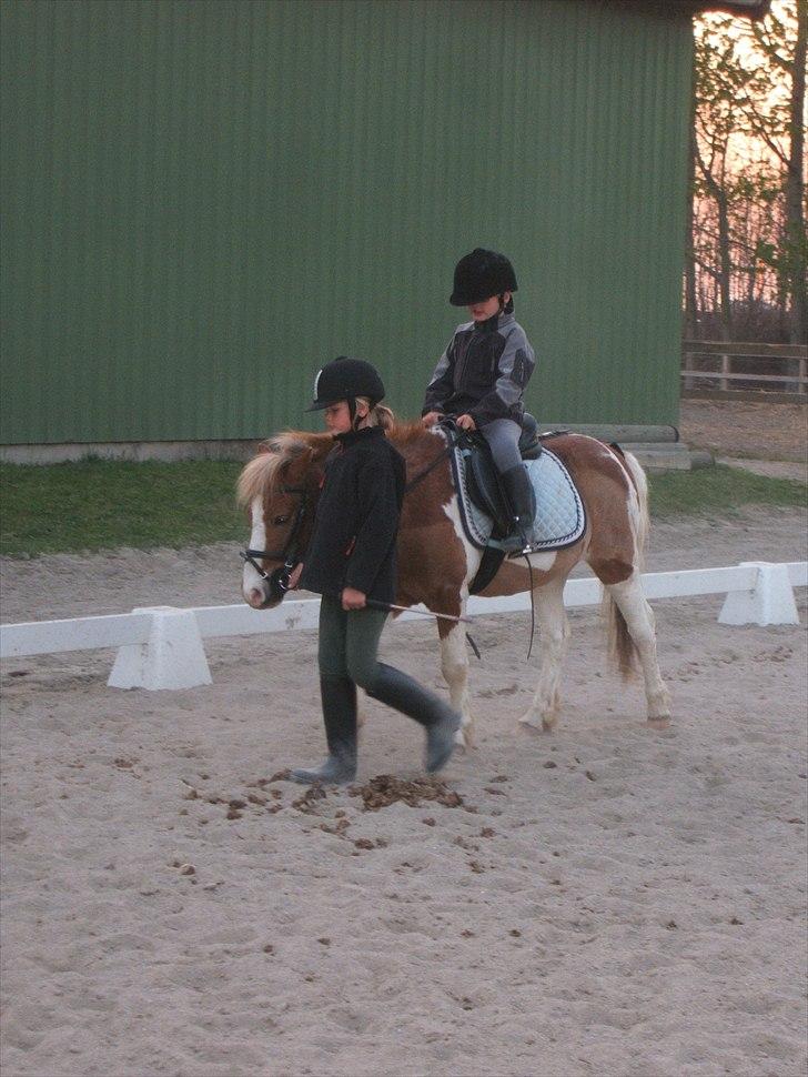 Viktoria og William rider Siroco billede 9