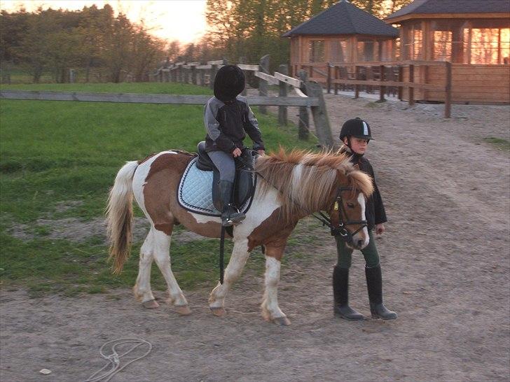 Viktoria og William rider Siroco billede 12