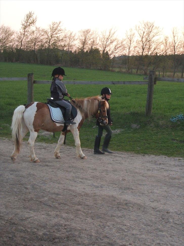 Viktoria og William rider Siroco billede 13