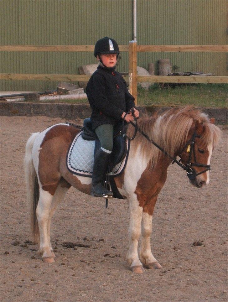 Viktoria og William rider Siroco billede 14