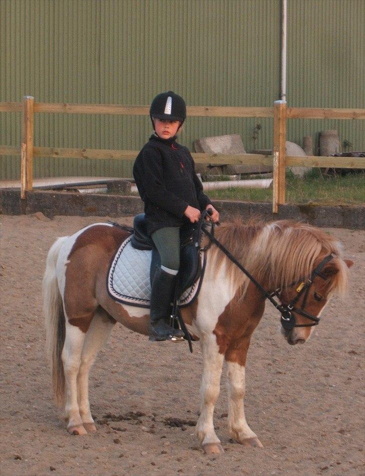 Viktoria og William rider Siroco billede 15