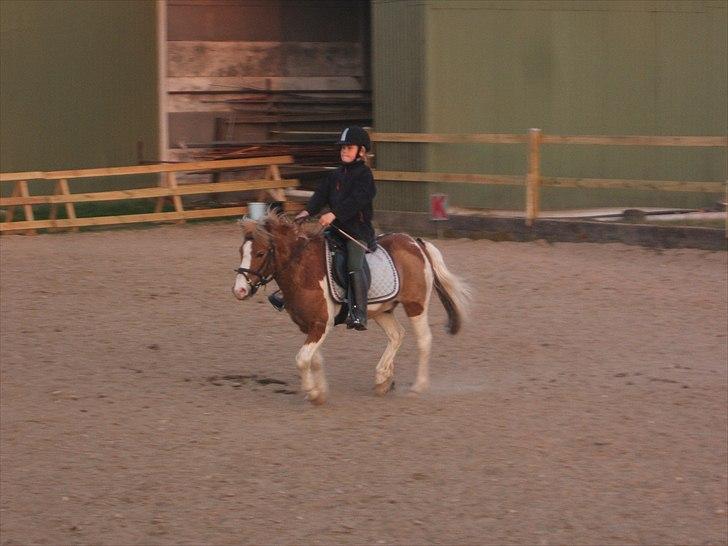 Viktoria og William rider Siroco billede 16