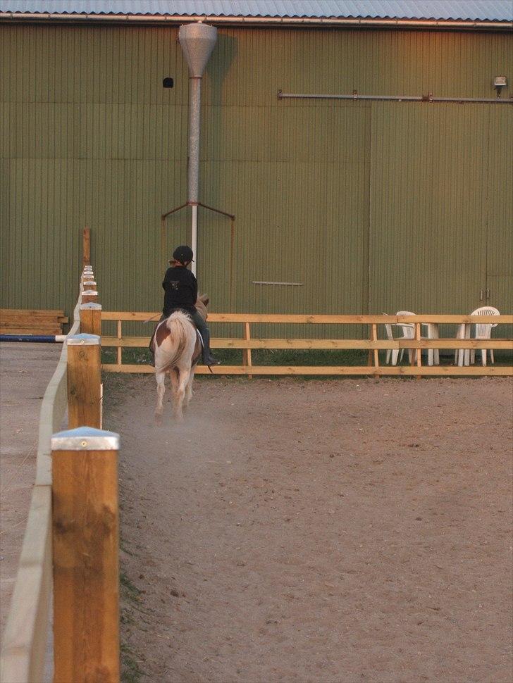 Viktoria og William rider Siroco billede 17