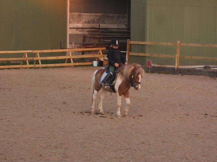 Viktoria og William rider Siroco billede 18