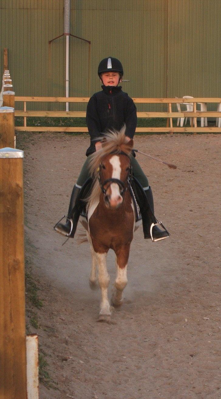 Viktoria og William rider Siroco billede 19