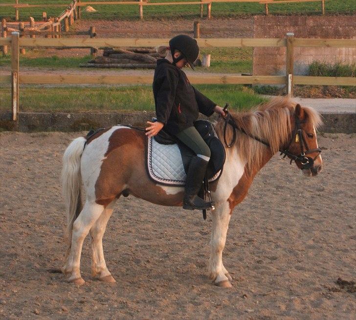 Viktoria og William rider Siroco billede 20