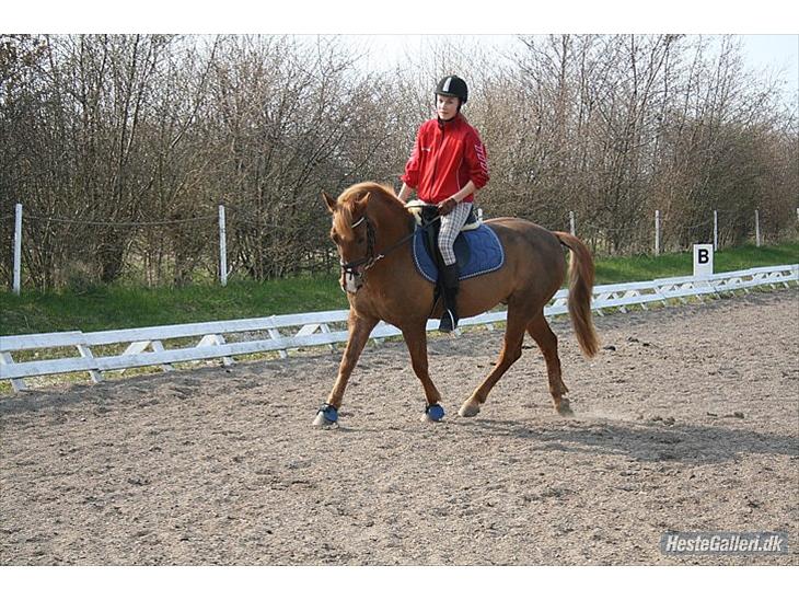 {{currentPhoto.altText}} billede {{currentPhoto.number}}