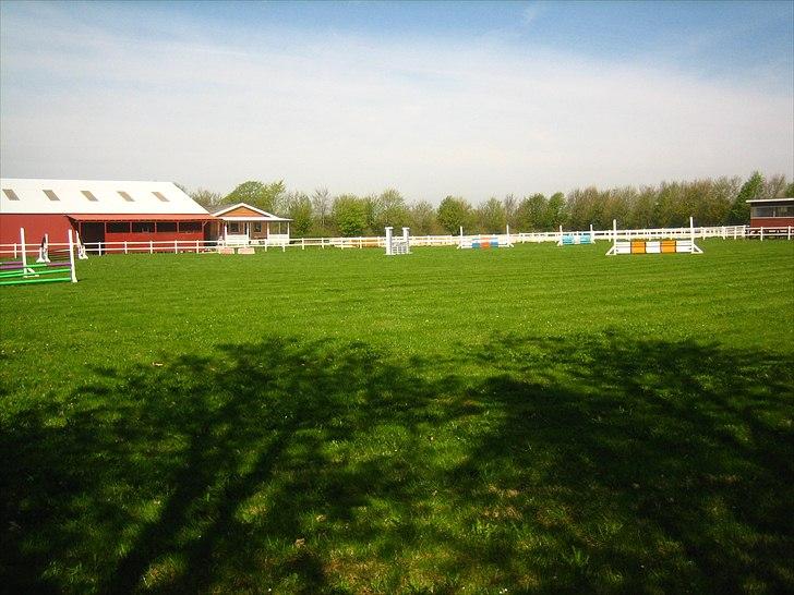 Mejlby Rideklub - Horsemanshiplejr faciliteter til sommer - Springbane med ridehuset og dressurbanerne i baggrunden. billede 2