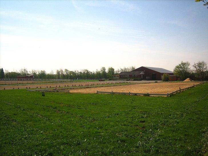 Mejlby Rideklub - Horsemanshiplejr faciliteter til sommer - Dressurbanerne med ridehuset og klubhus i baggrunden. billede 4