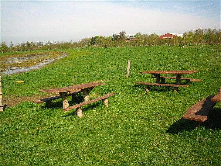 Mejlby Rideklub - Horsemanshiplejr faciliteter til sommer - Fold 3 med sø på midten, og med bænke uden for :) billede 7
