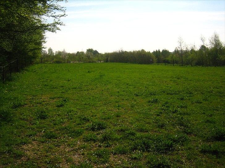 Mejlby Rideklub - Horsemanshiplejr faciliteter til sommer - Fold 1 billede 10