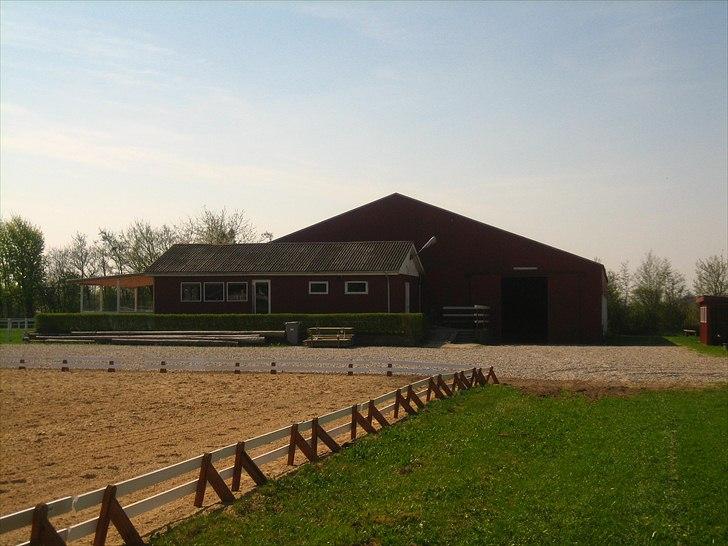 Mejlby Rideklub - Horsemanshiplejr faciliteter til sommer - Dressurbane med ridehus og klubhus i baggrunden billede 11