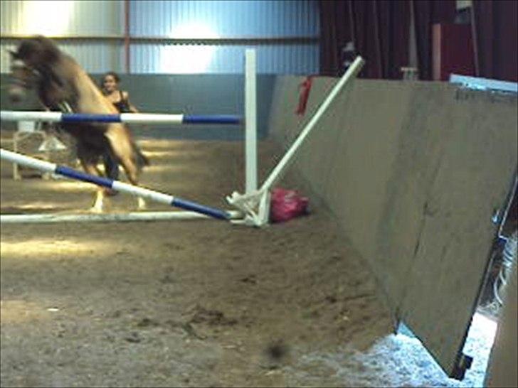 MR. LUCKY BOY billede 1