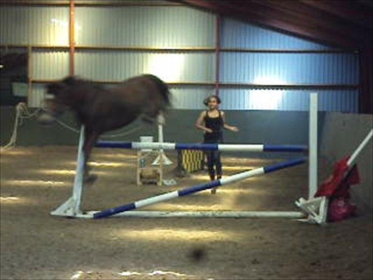 MR. LUCKY BOY billede 2