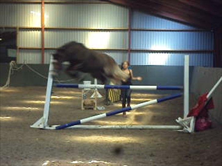 MR. LUCKY BOY billede 3