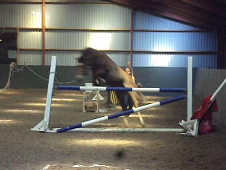 MR. LUCKY BOY billede 4