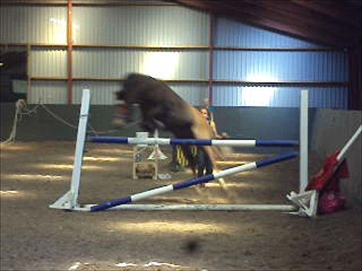 MR. LUCKY BOY billede 5