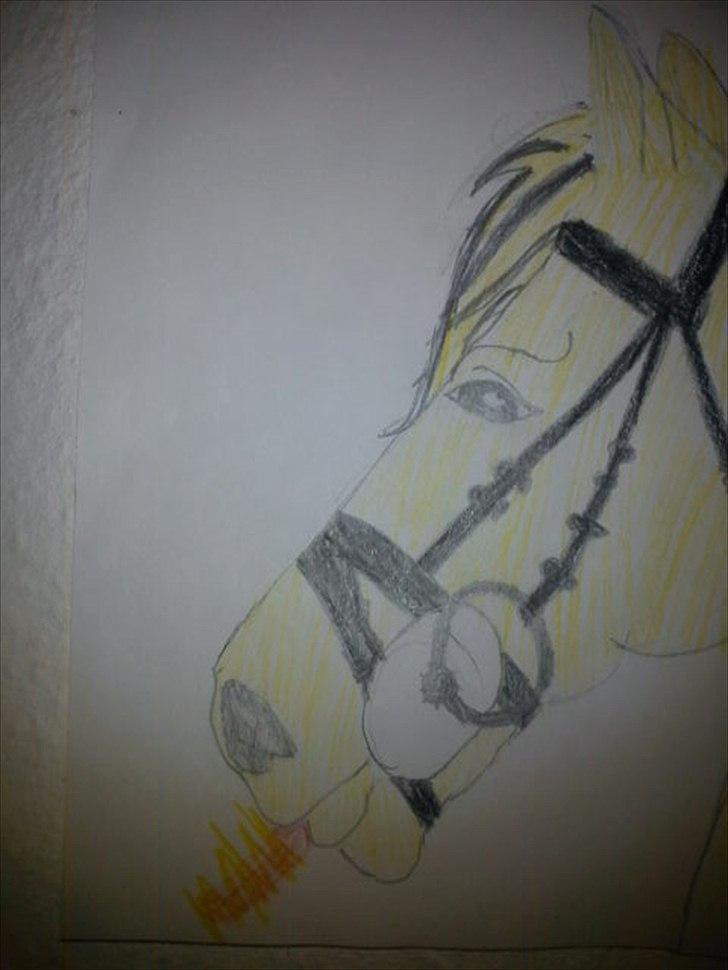 Mine tegninger(Grimme!) - En tegning, min kusine sagde jeg skulle lave, ogs lavede jeg den! ;-)
Idé- Anna. 
Tegner- Maria. billede 1