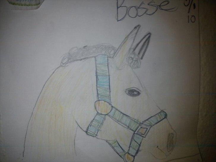 Mine tegninger(Grimme!) - En tegning af Bosse!:-) billede 5
