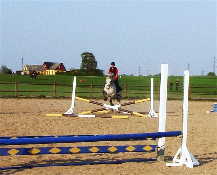 Spring træning på Junker da vi startede sammen - Så hen over krydset. Billedet blev lige på pletten <3 billede 17